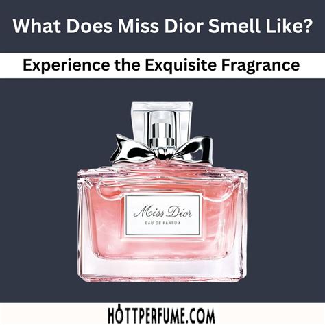 miss dior xom|what does miss dior smell like.